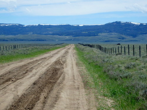 GDMBR: We get to see our very first Badger (next to Wolverine Creek).